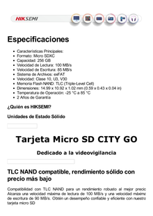 Memoria MicroSD / Clase 10 de 256 GB / Especializada Para Videovigilancia Movil (Uso 24/7) / Soporta Altas Temperaturas / 95 MB/s Lectura / 55 MB/s Escritura