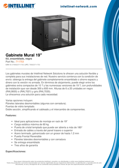 GABINETE INTELLINET 19 MURAL ECONOM 6U 600*600