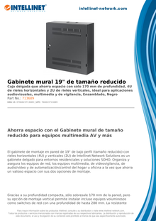 Gabinete Mural 19 pulg Intellinet 4U 550x5400 4U + 2U