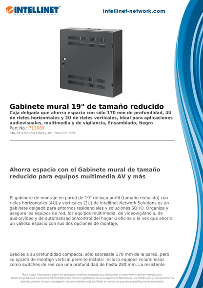 Gabinete Mural 19 pulg Intellinet 4U 550x5400 4U + 2U