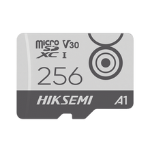 Memoria MicroSD / Clase 10 de 256 GB / Especializada Para Videovigilancia Movil (Uso 24/7) / Soporta Altas Temperaturas / 95 MB/s Lectura / 55 MB/s Escritura