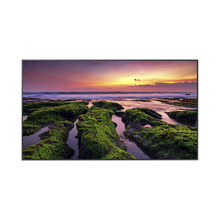 Pantalla Profesional LED de 55", UHD 4K (3840x2160p), Entradas de Video HDM, Bocinas Integradas de 10 W. Compatible VESA