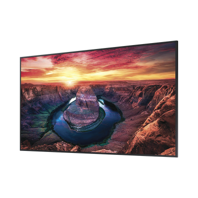 Pantalla Profesional LED de 65", UHD 4K (3840x2160p), Entradas de Video HDMI/DisplayPort, Bocinas Integradas de 10 W. Compatible VESA. Modo de Simulación DICOM